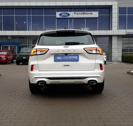 Ford Kuga cena 139900 przebieg: 12600, rok produkcji 2022 z Sieraków małe 254